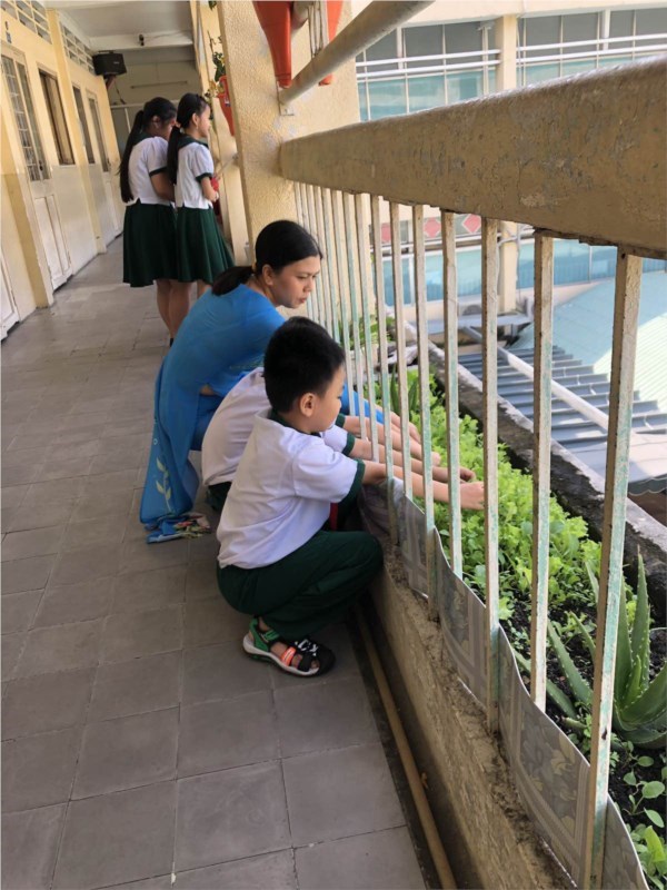 Nhấn vào ảnh để phóng to