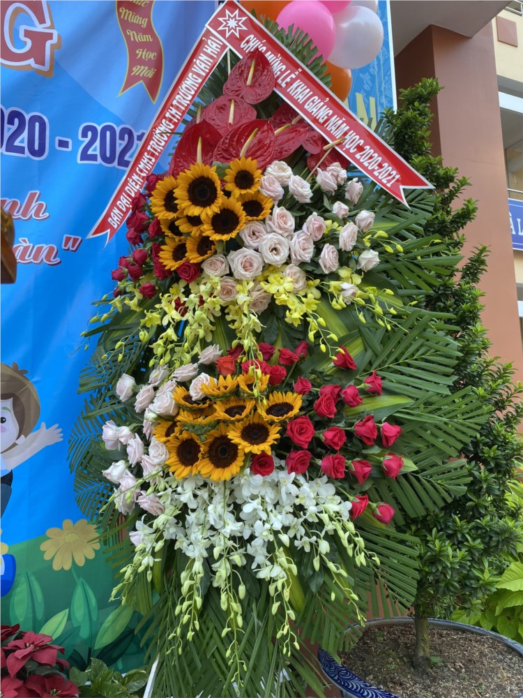 Nhấn vào ảnh để phóng to