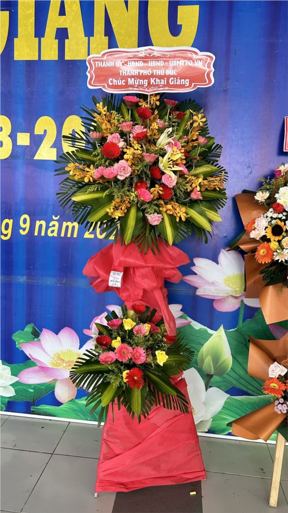 Nhấn vào ảnh để phóng to