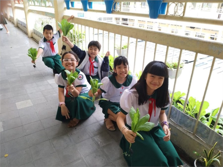 Nhấn vào ảnh để phóng to