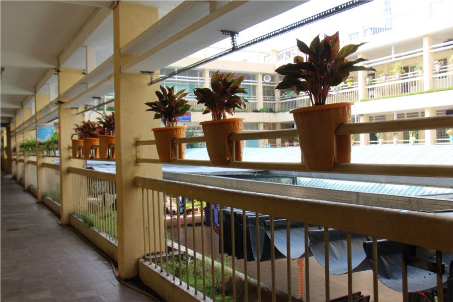 Nhấn vào ảnh để phóng to