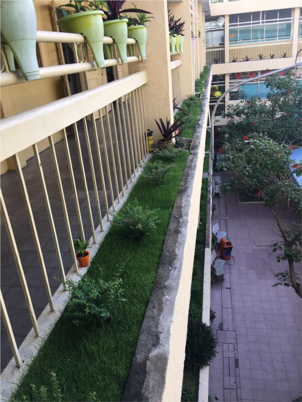 Nhấn vào ảnh để phóng to
