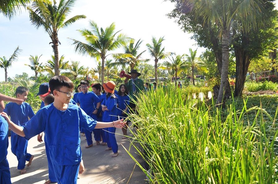 Nhấn vào ảnh để phóng to