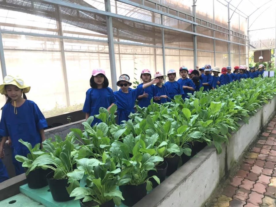 Nhấn vào ảnh để phóng to
