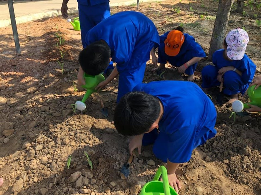Nhấn vào ảnh để phóng to