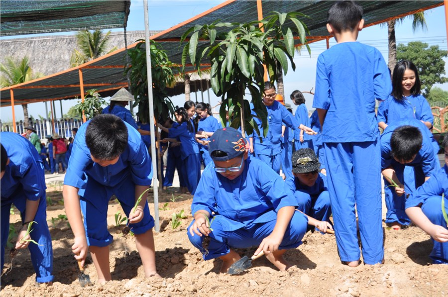 Nhấn vào ảnh để phóng to