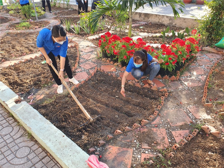 Nhấn vào ảnh để phóng to