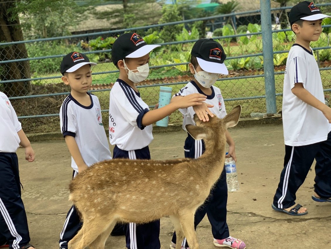 Nhấn vào ảnh để phóng to