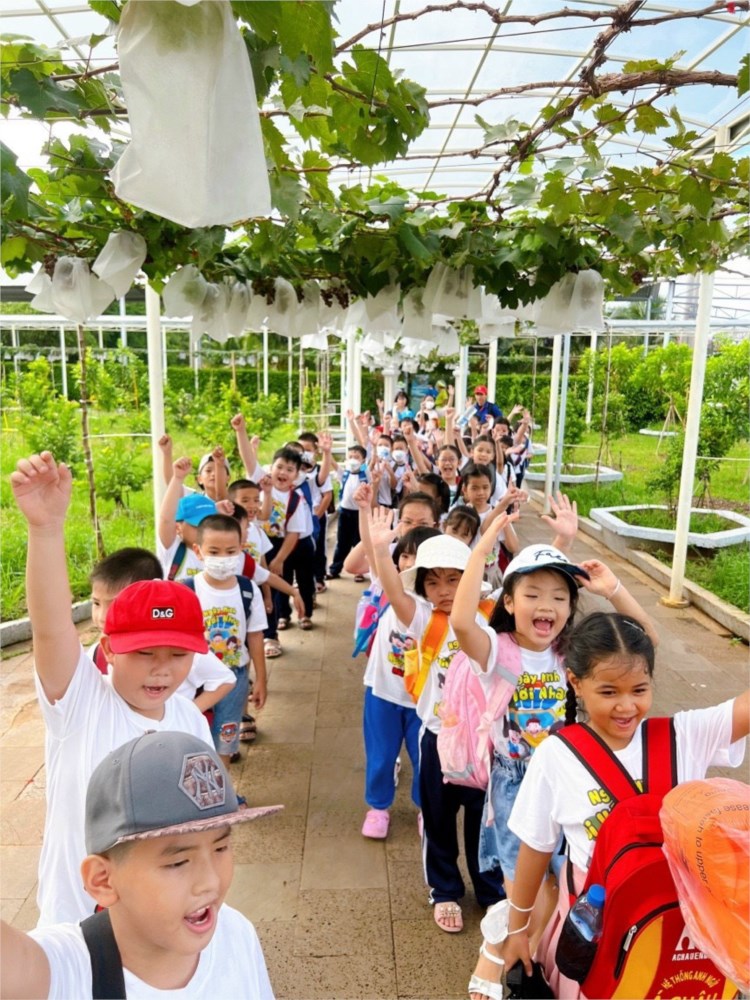Nhấn vào ảnh để phóng to