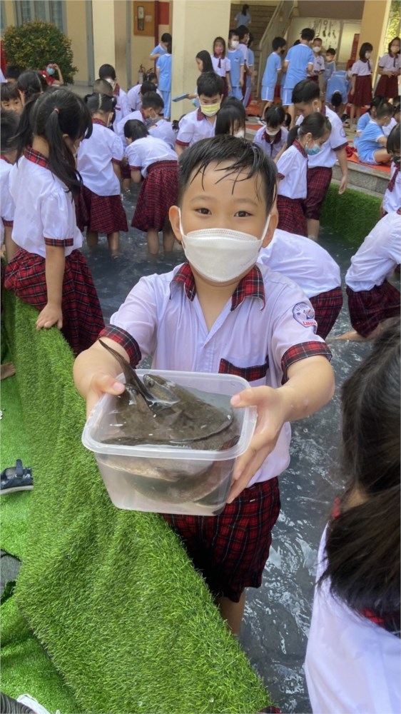 Nhấn vào ảnh để phóng to