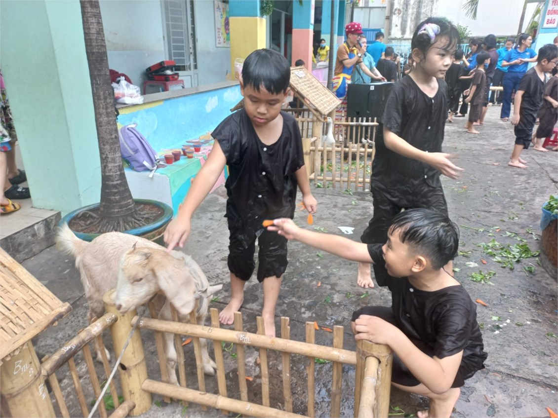 Nhấn vào ảnh để phóng to