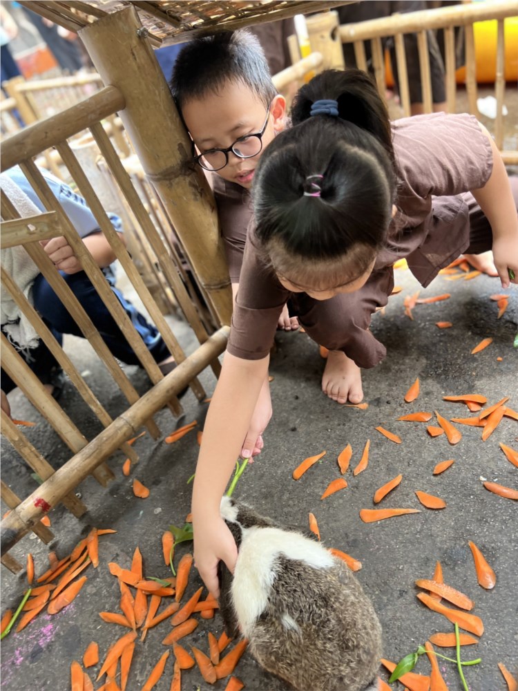 Nhấn vào ảnh để phóng to
