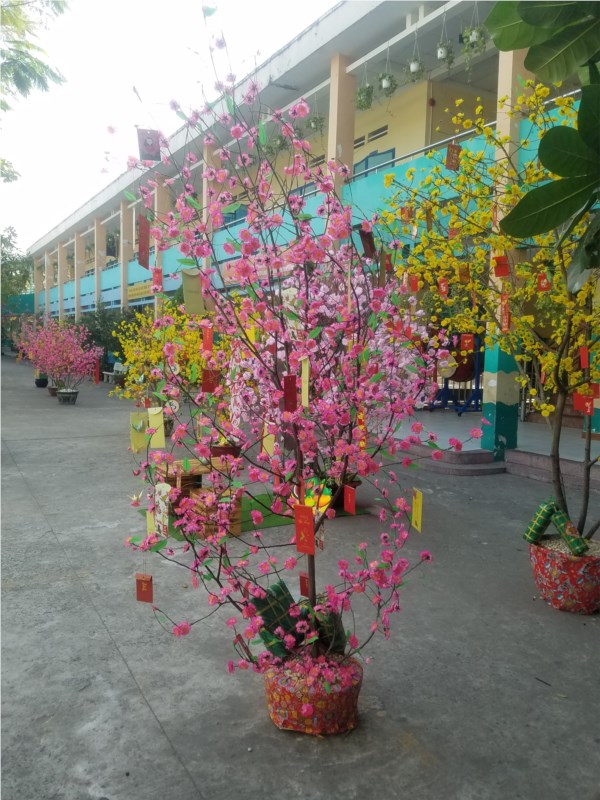 Nhấn vào ảnh để phóng to