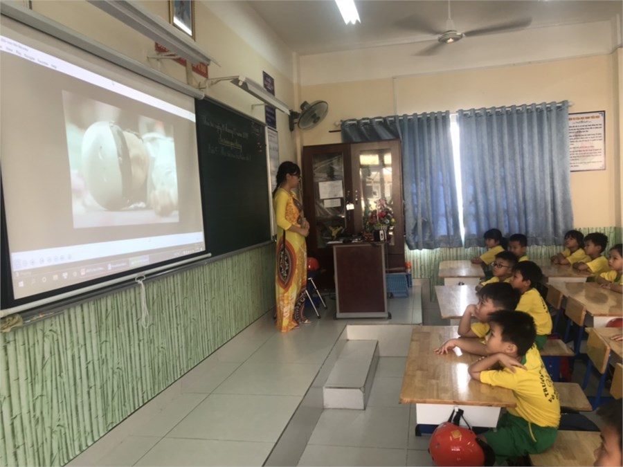 Nhấn vào ảnh để phóng to