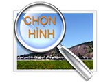 Thông tin tuyển sinh năm học 2024-2025 tại trường tiểu học an phú 2