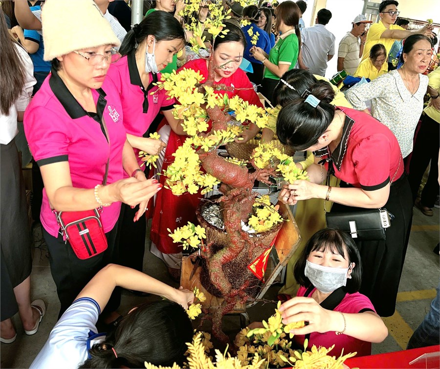 Nhấn vào ảnh để phóng to