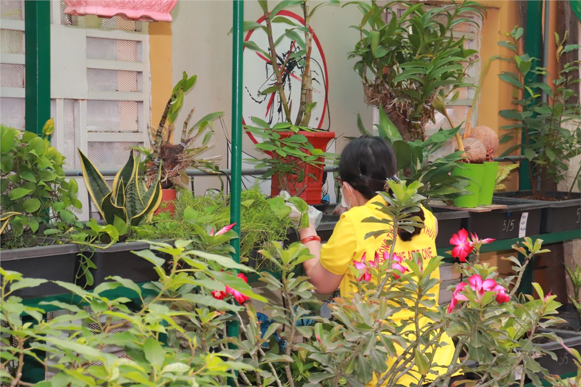 Nhấn vào ảnh để phóng to