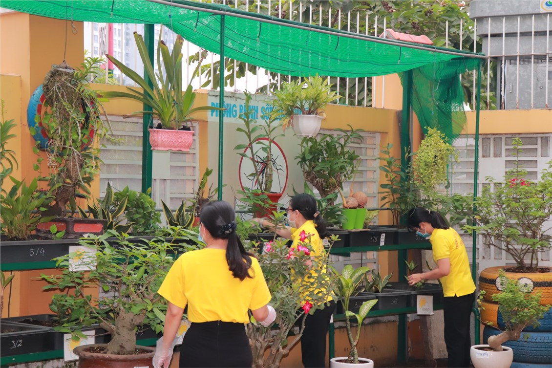Nhấn vào ảnh để phóng to