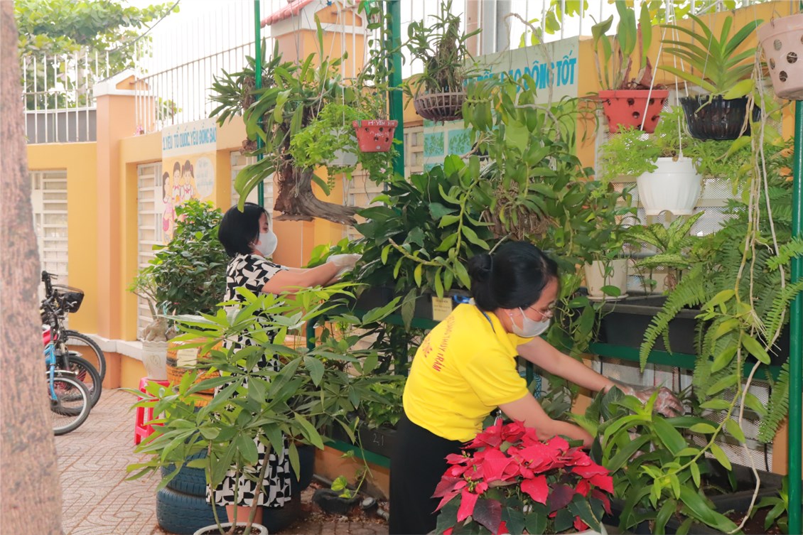 Nhấn vào ảnh để phóng to