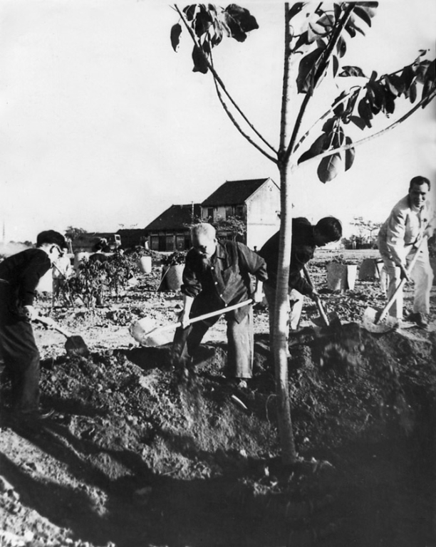 Nhấn vào ảnh để phóng to