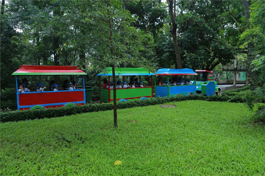 Nhấn vào ảnh để phóng to