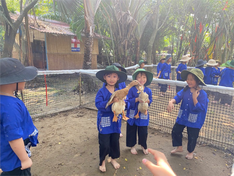 Nhấn vào ảnh để phóng to