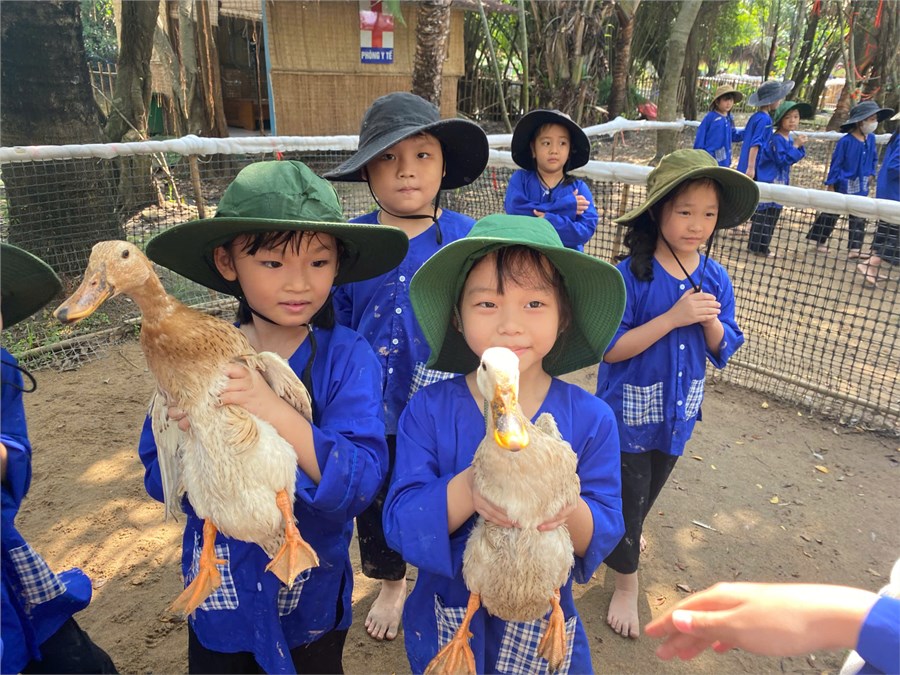 Nhấn vào ảnh để phóng to