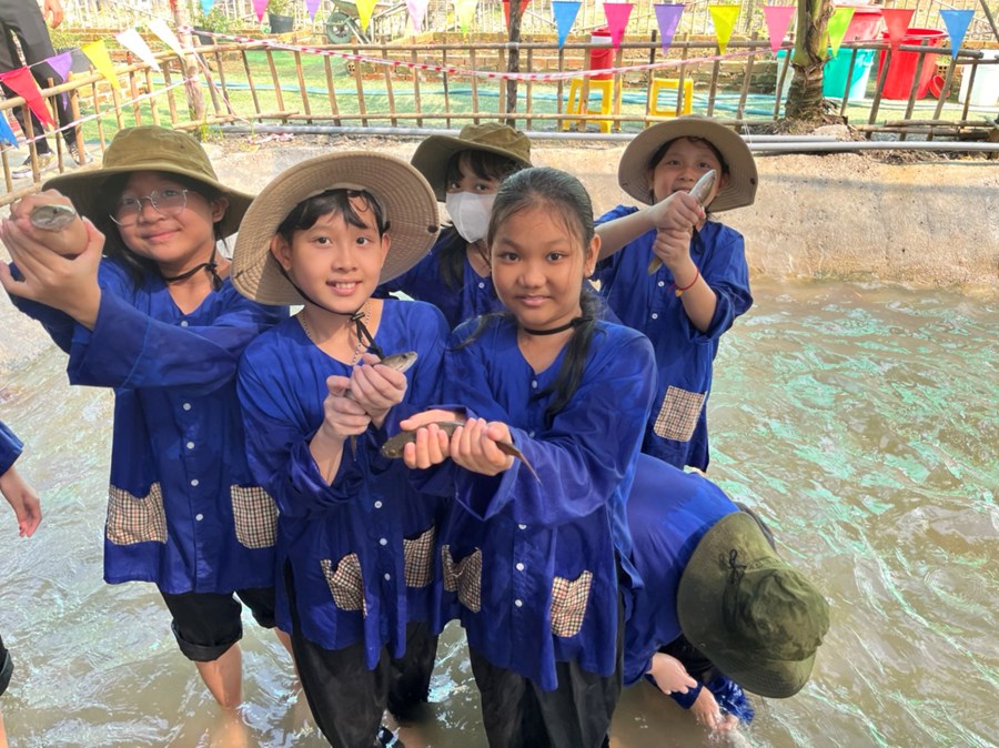 Nhấn vào ảnh để phóng to