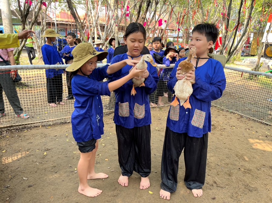 Nhấn vào ảnh để phóng to