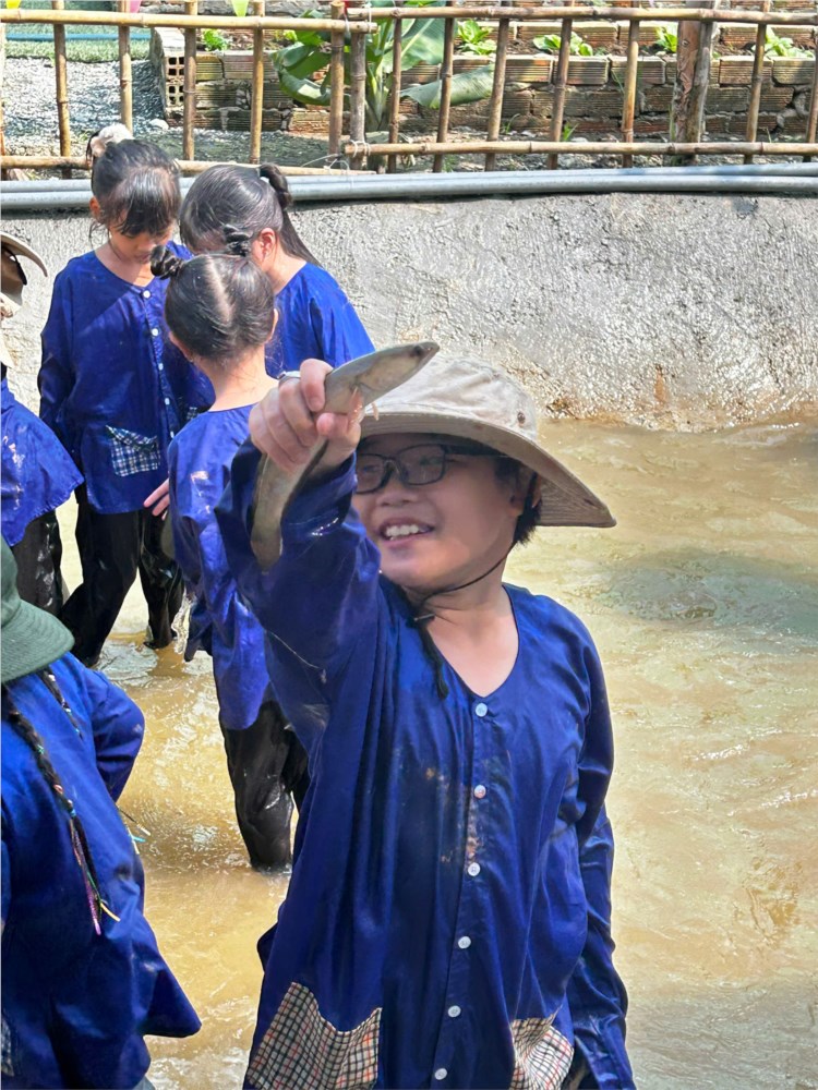 Nhấn vào ảnh để phóng to